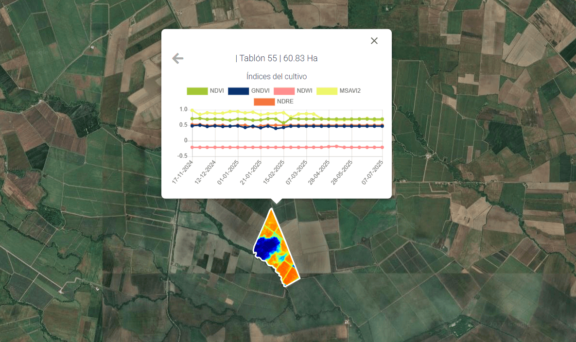 Dashboard Satelital con gráficos NDVI y análisis de cultivos